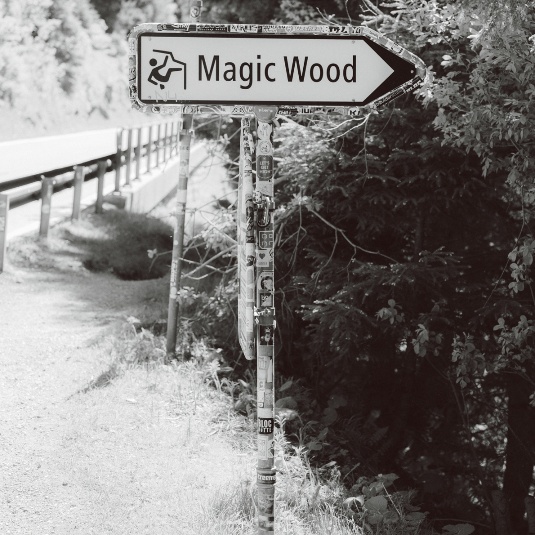 Gramicci Library Europe Road Trip – Magic wood