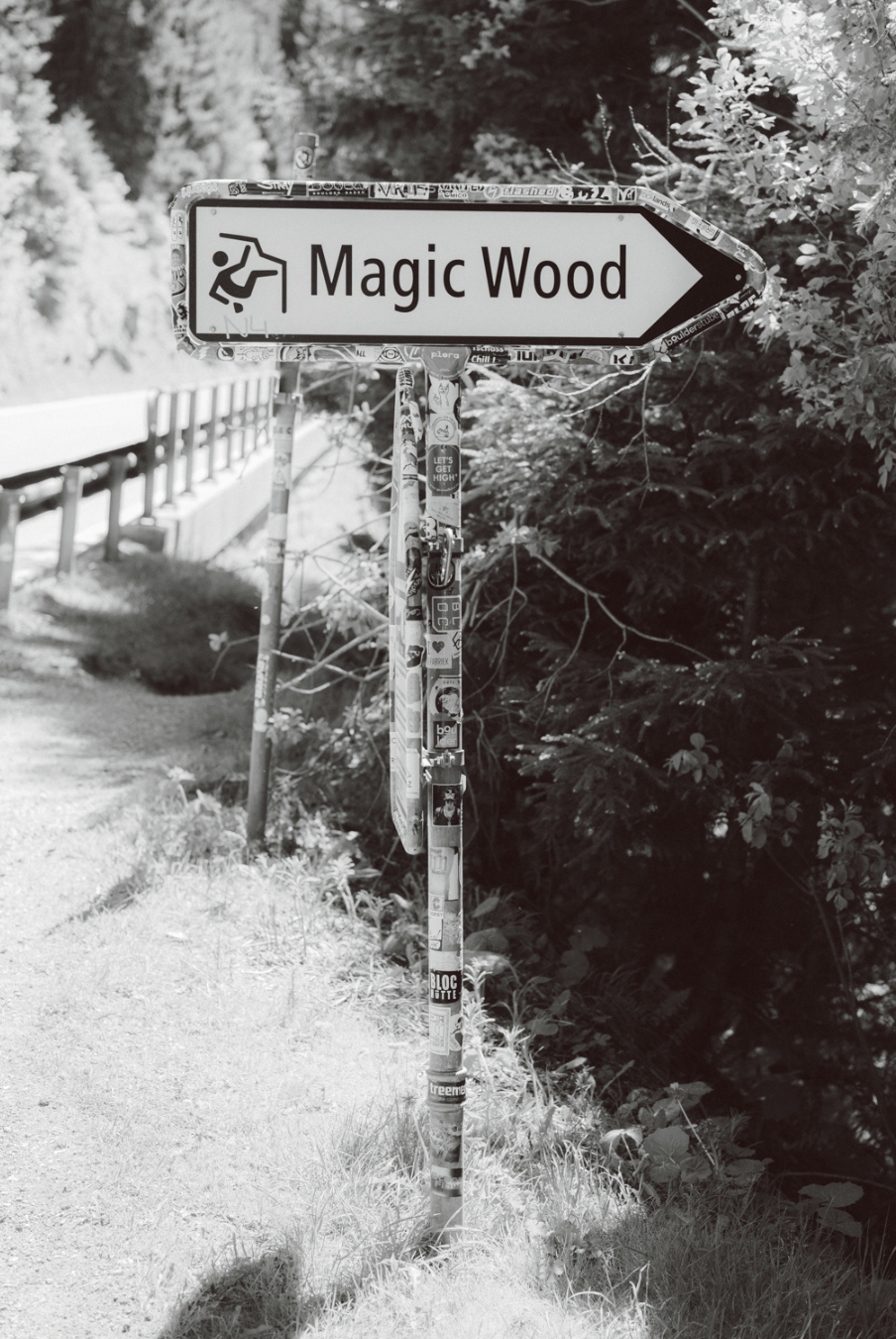 Gramicci Library Europe Road Trip – Magic wood
