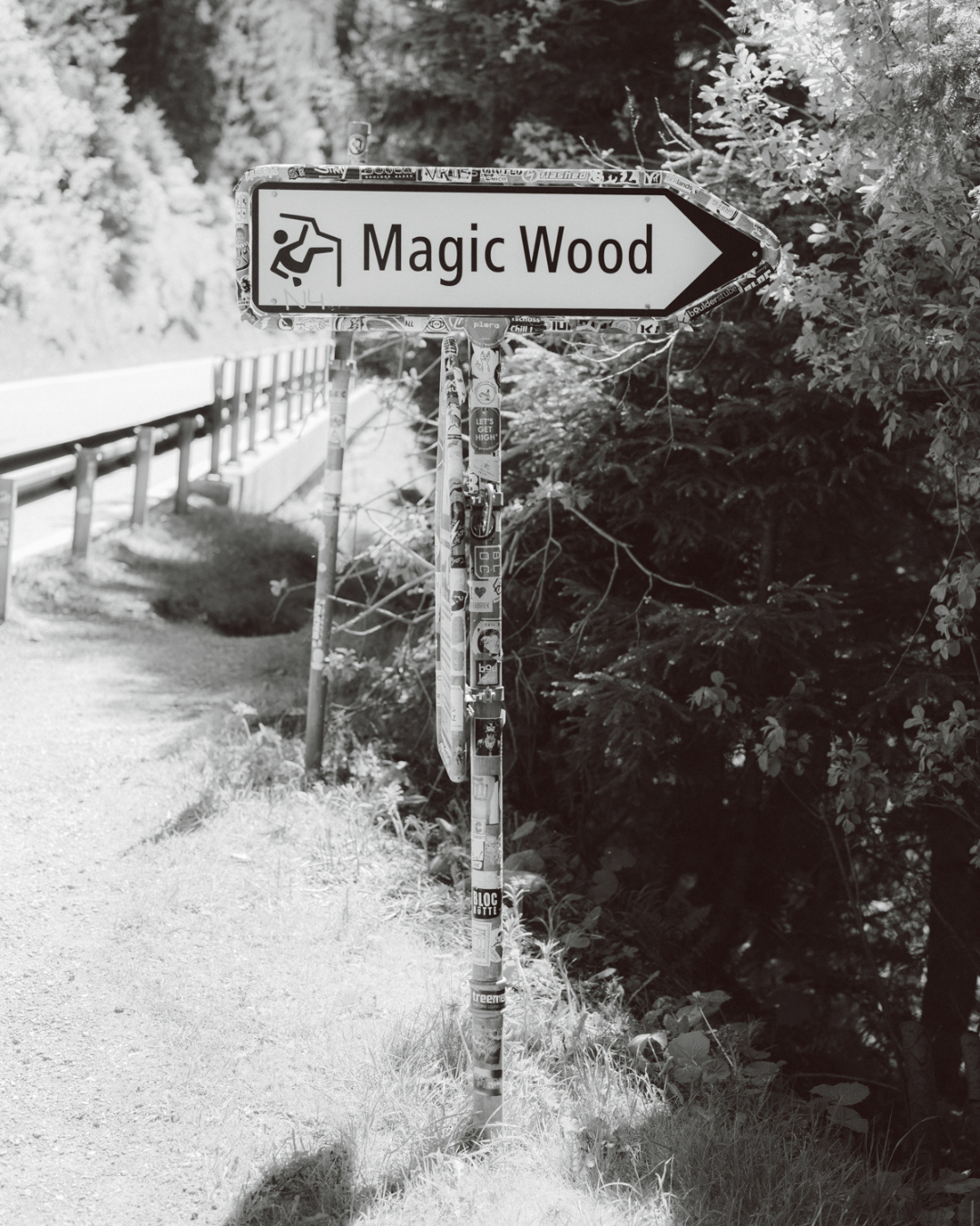 Gramicci Library Europe Road Trip – Magic wood